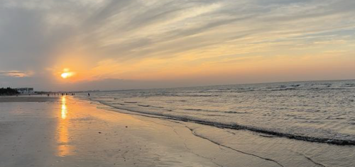 online insurance services